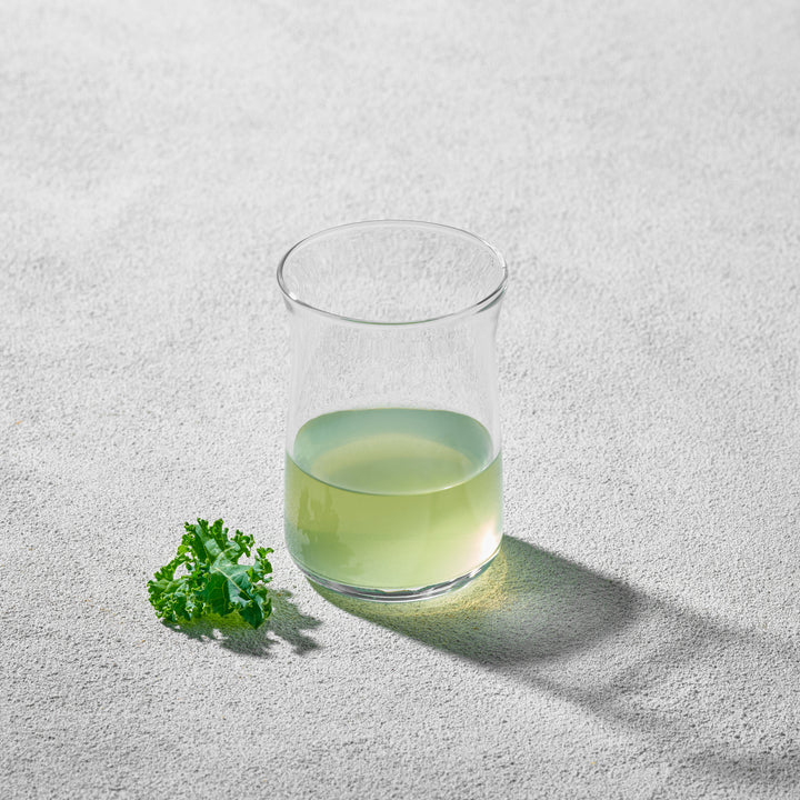 Vera, Highball Glass