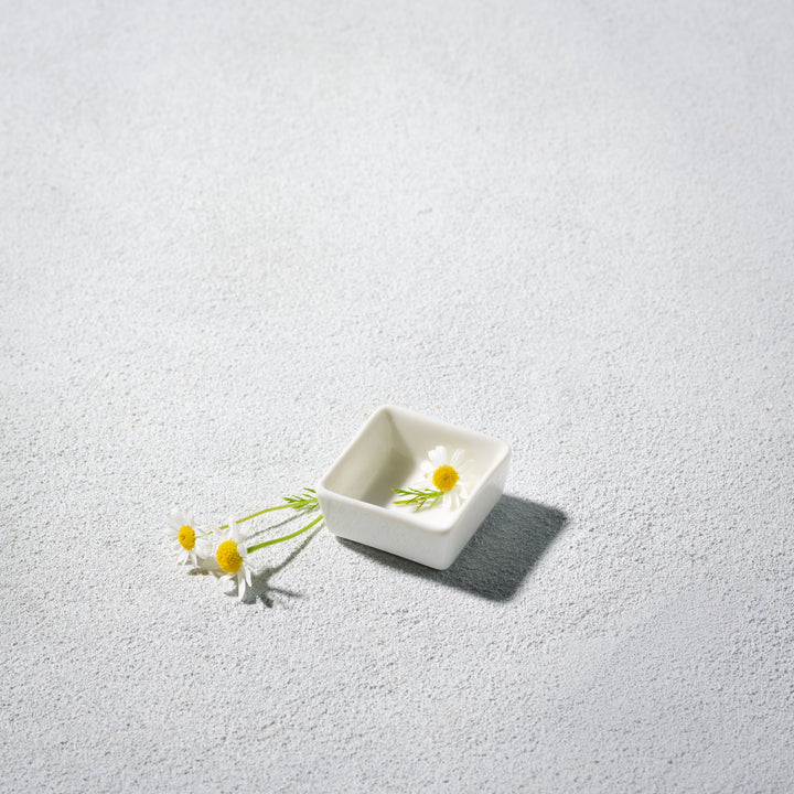 Lightning, Mini Square Dish