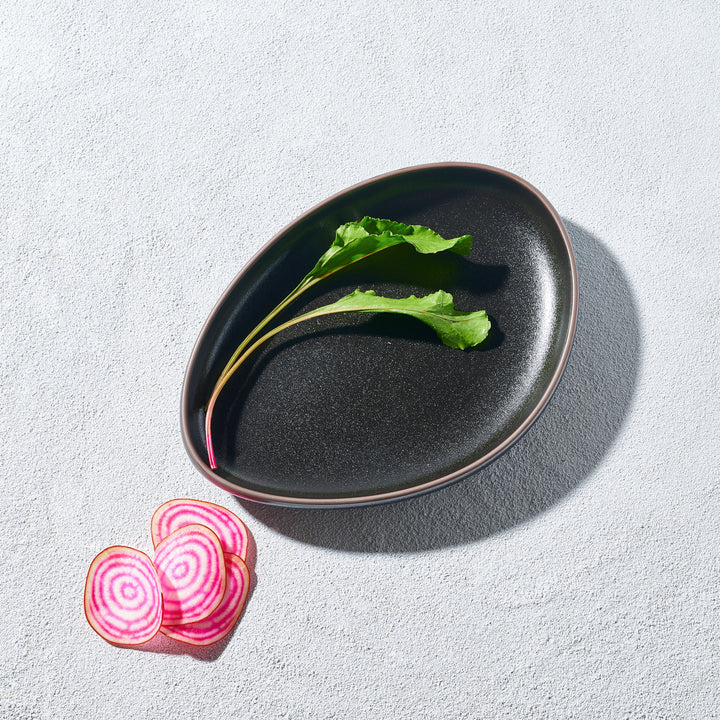 Sonic, Rounded Triangle Plate